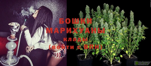метадон Дмитриев