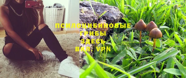 амф Приозерск