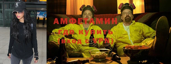 амф Дмитров