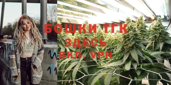 стафф Пролетарск